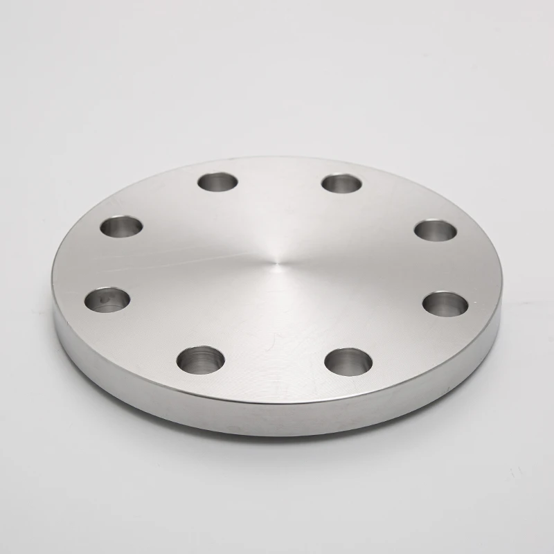SS Blind Flange
